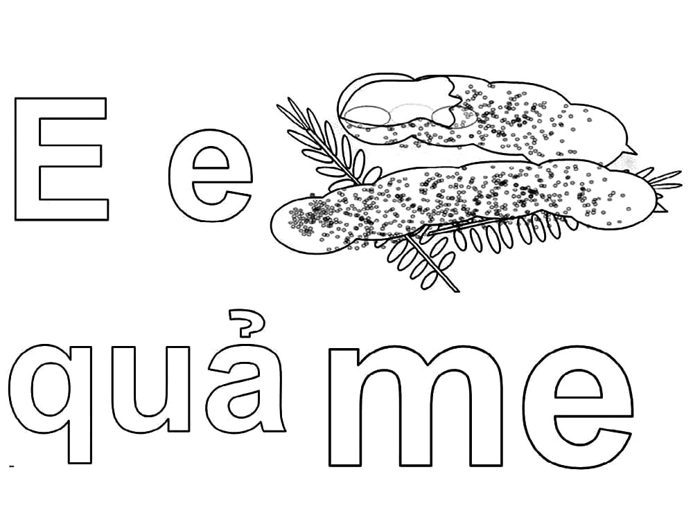 Tô màu Chữ E Quả Me
