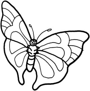 Tô Màu Con Bướm