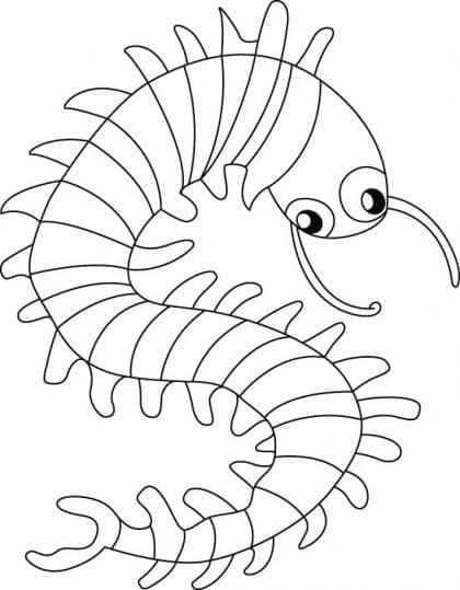 Tô màu Con Rết Ngộ Nghĩnh