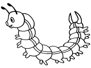 Tô màu Con Rết Vui Vẻ