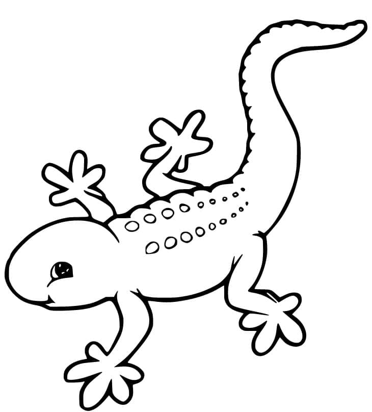 Tô màu Con Tắc Kè Dễ Thương