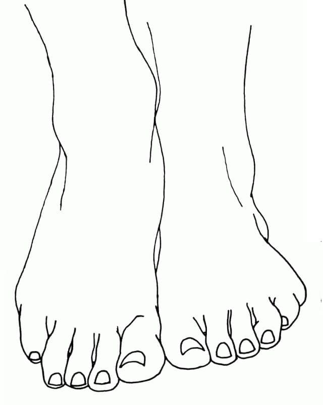 Tô màu Đôi Chân