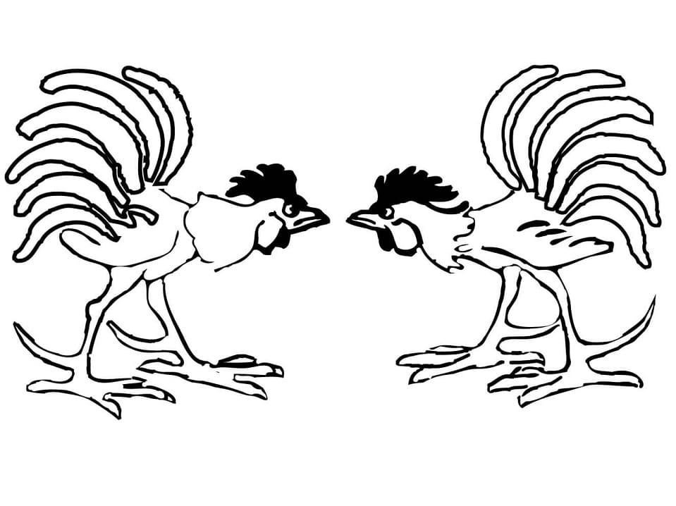 Tô màu Gà Trống Chọi Nhau
