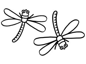 Tô Màu Con Chuồn Chuồn
