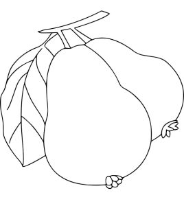 Tô màu Hai Quả Ổi