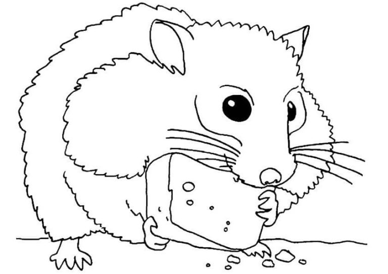 Tô màu Hamster Ăn Bánh