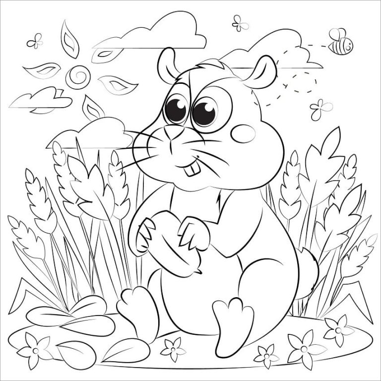 Tô màu Hamster Mập Ú