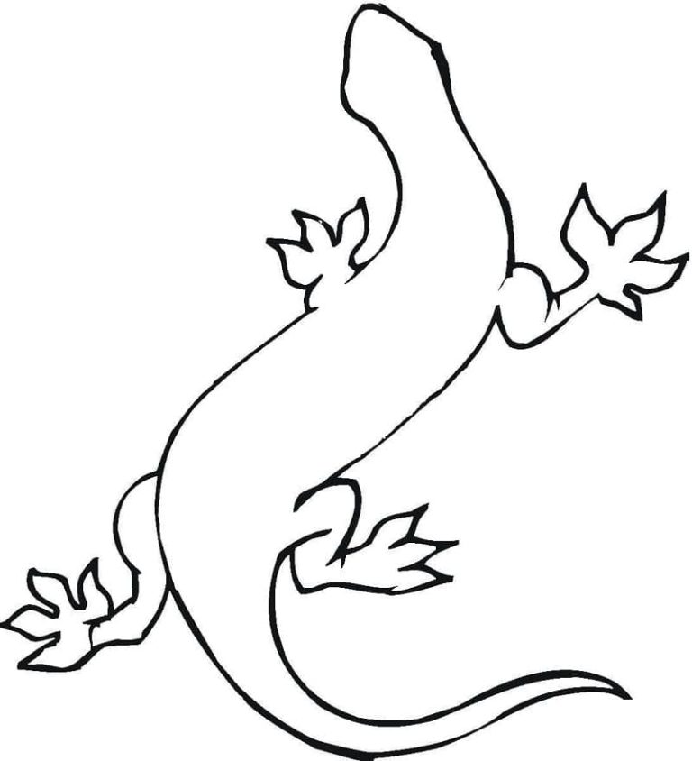 Tô màu Hình Vẽ Con Tắc Kè