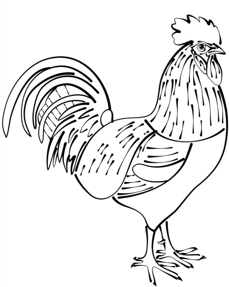 Tô màu Một Con Gà Trống