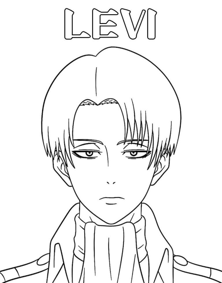 Tô Màu Levi