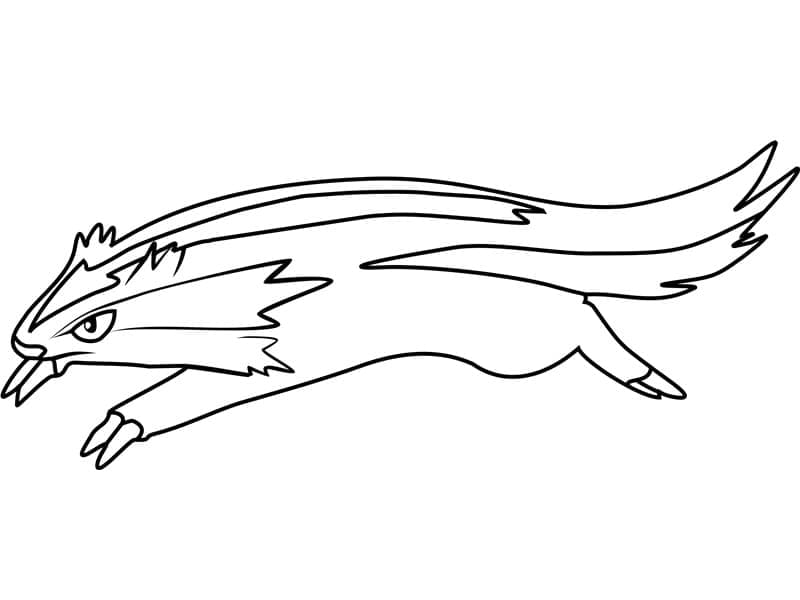 Tô màu Pokemon Linoone