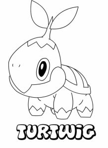 Tô màu Pokemon Turtwig